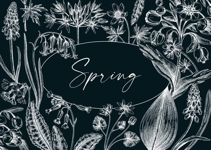 Vintage spring background. Hand drawn vector illustration. Floral frame on chalkboard. Woodland wild flower sketches. Wildflowers design template